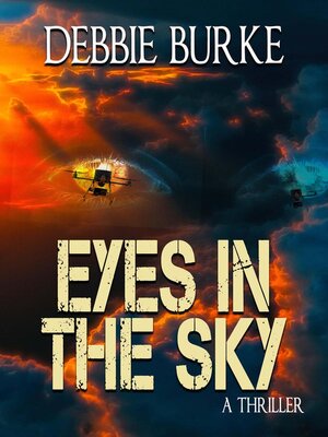 cover image of Eyes in the Sky